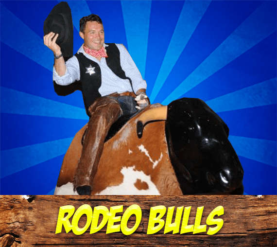 Rodeo Bull Hire